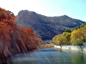 新澳天天开奖资料大全旅游团，偷人小说